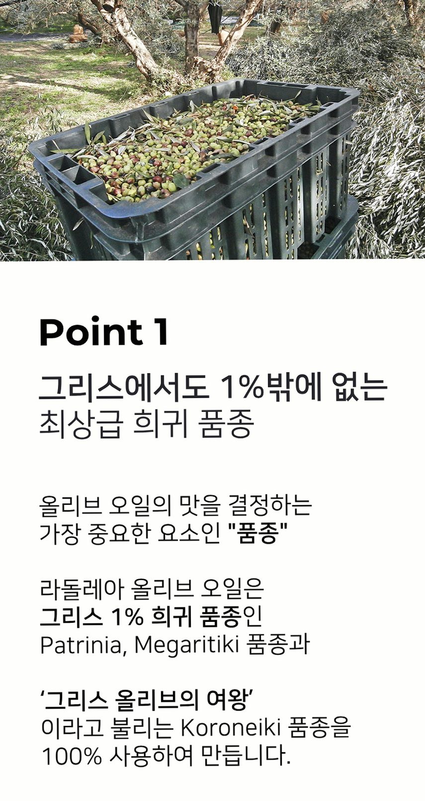 라돌레아 그리스 유기농 엑스트라버진 올리브오일 델리케이트 산뜻한맛 대용량 틴 500ml