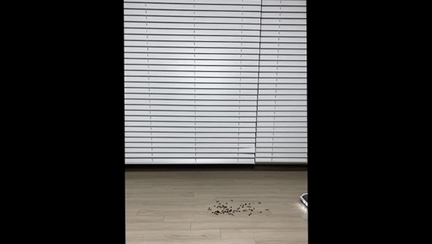 아이룸 무선청소기 차이슨 OG20 진공청소기