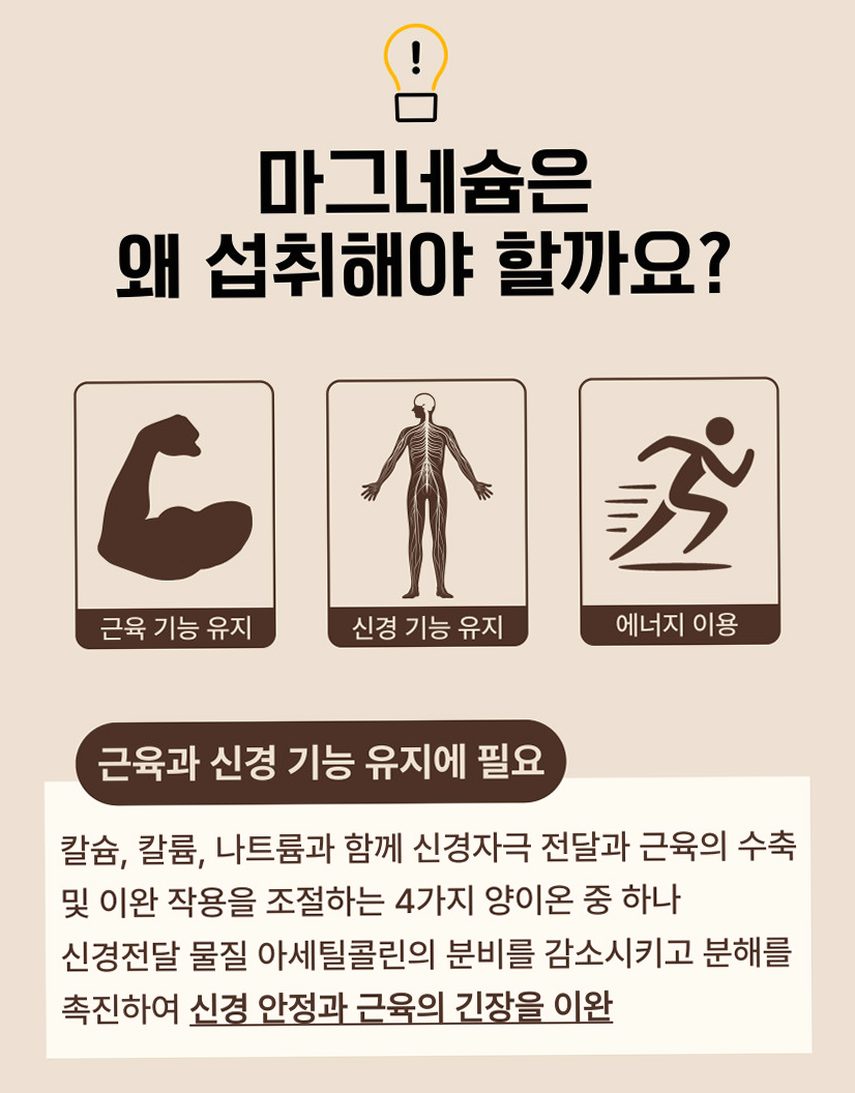 [약사개발] 근육이 편해지는 마그네슘 릴렉스마그콰트로 젖산마그네슘 유기염 마그네슘효능 60정, 1개